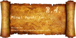 Mingl Agnéta névjegykártya